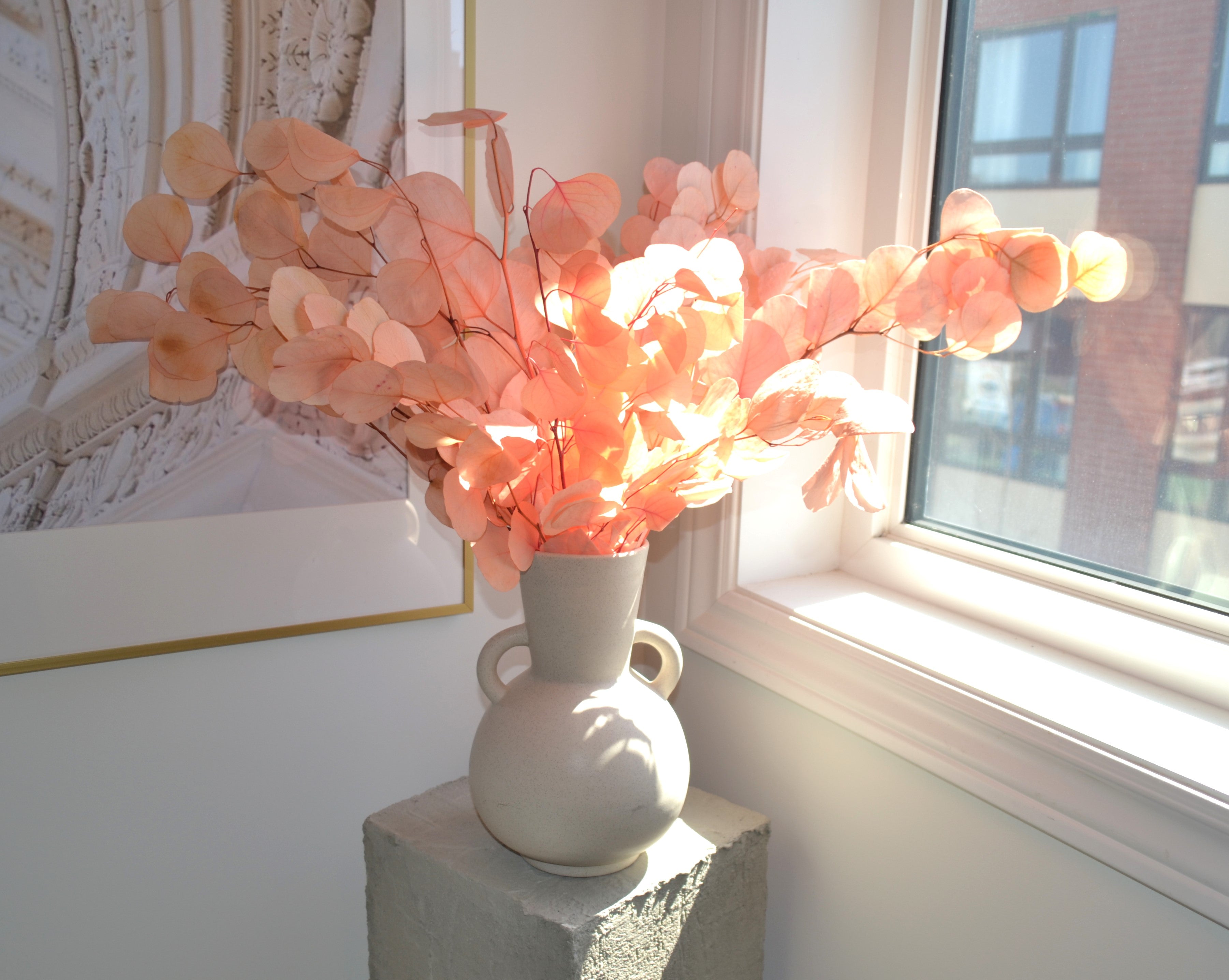 Silver Dollar Eucalyptus